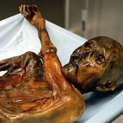 В московской квартире найдена мумия пенсионерки